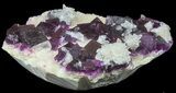 Dark Purple Cubic Fluorite on Quartz - Exceptional! #39004-5